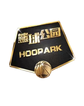 的总统