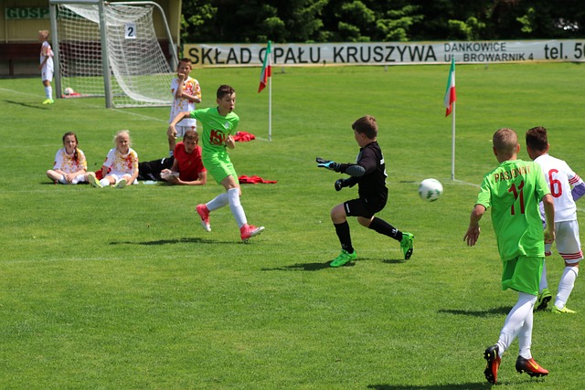 不仅提升了 不仅提升了