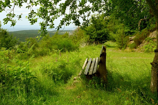 远远不足 远远不足