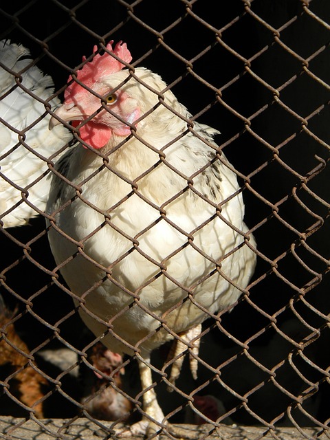 则再一次证 则再一次证